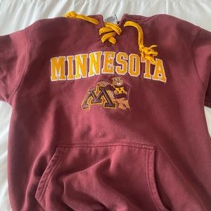 university of minnesota hoodie